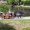 CRW_5875.jpg
